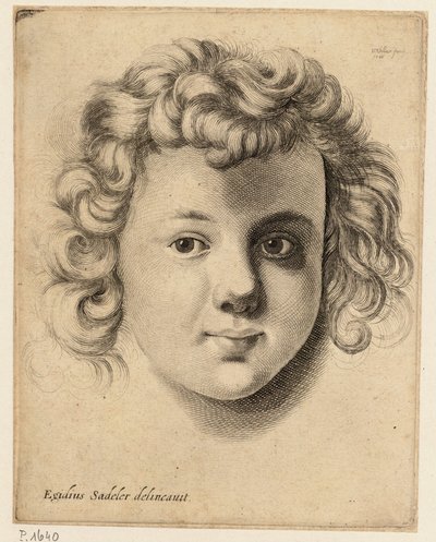 Head of a Child, after Sadeler by Wenceslaus Hollar